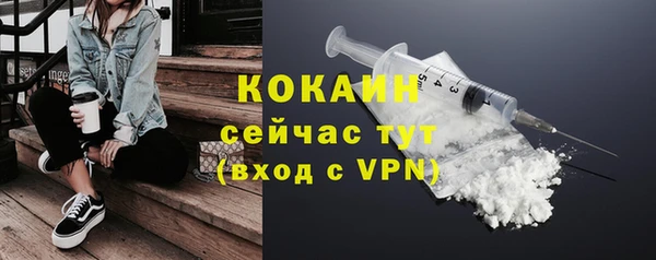 гашик Сафоново