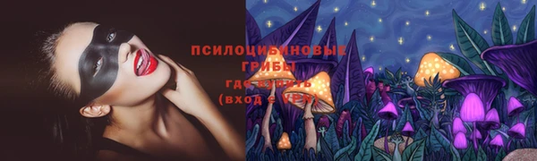СК Губаха