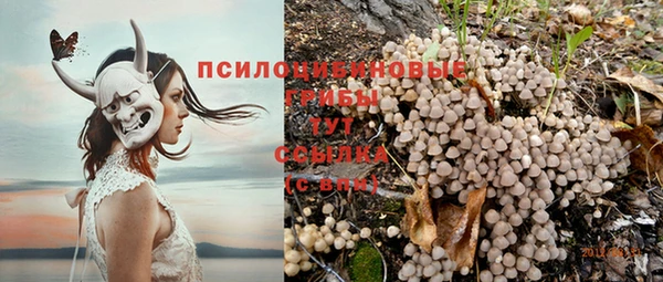 гашик Сафоново