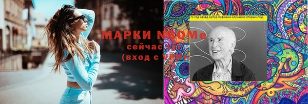 гашик Сафоново
